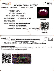 8.37/CT Natural Neo Burma Ruby with Govt. Lab Certificate (5661)